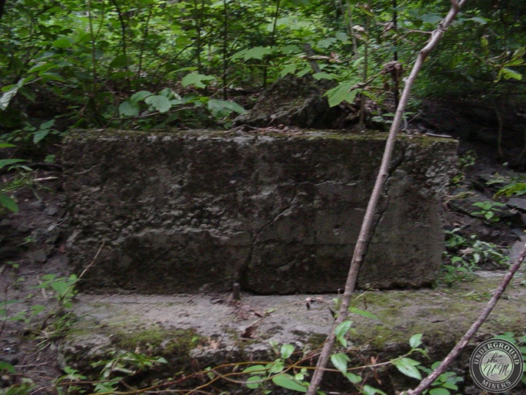 Pine Ridge Mountain Mines – Underground Miners