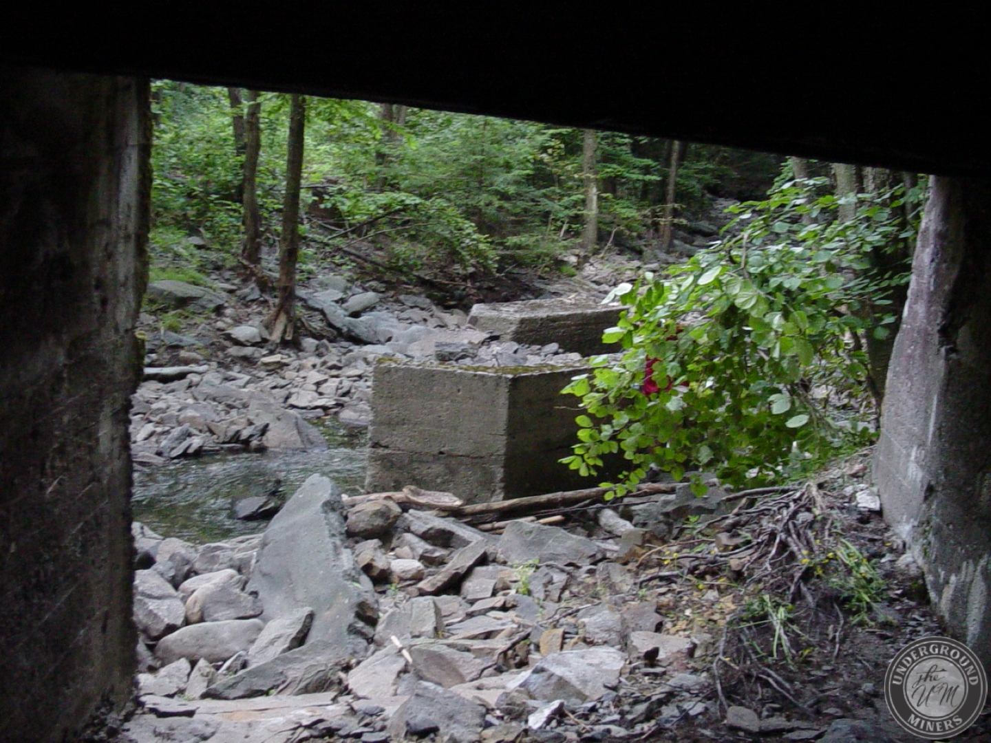 Pine Ridge Mountain Mines – Underground Miners
