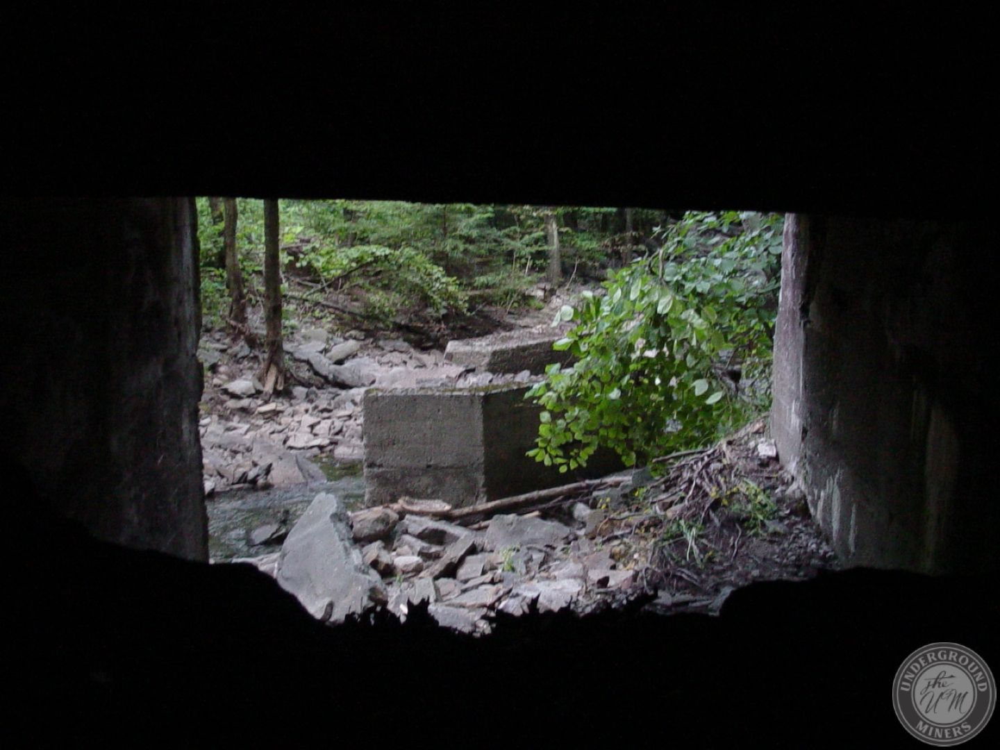 Pine Ridge Mountain Mines – Underground Miners
